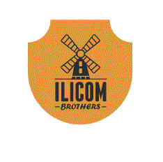 ILICOM BROTHERS
