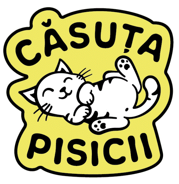 CĂSUȚA PISICII