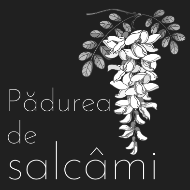 Pădurea de salcâmi