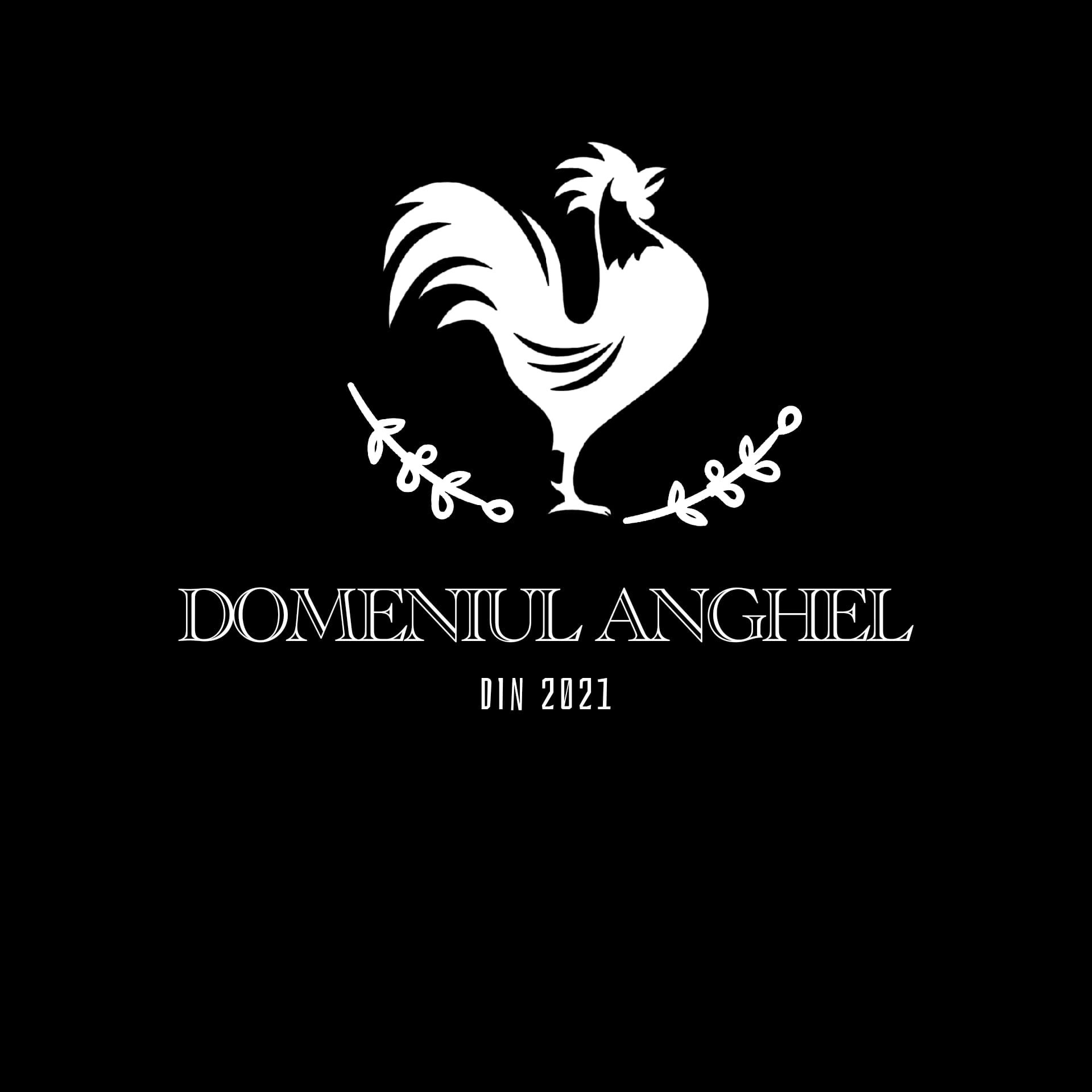DOMENIUL ANGHEL DIN 2021