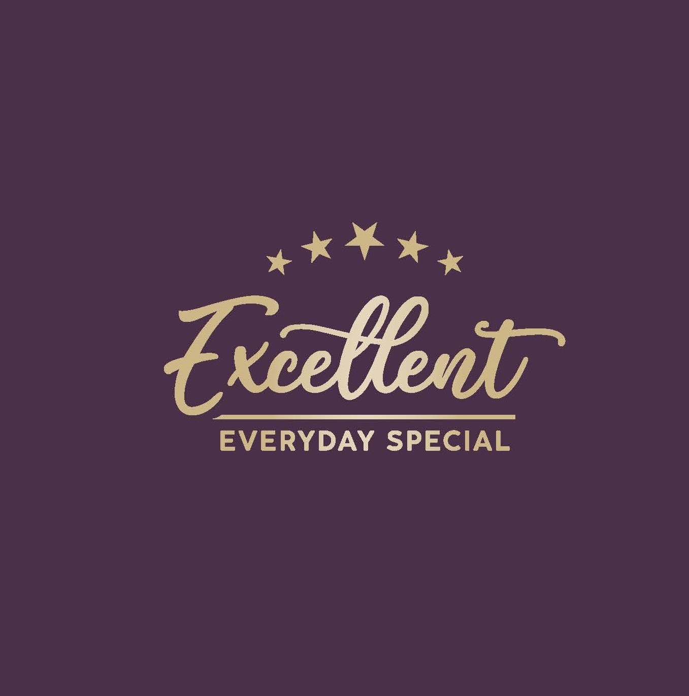 Excellent EVERYDAY SPECIAL