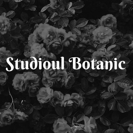 Studioul Botanic