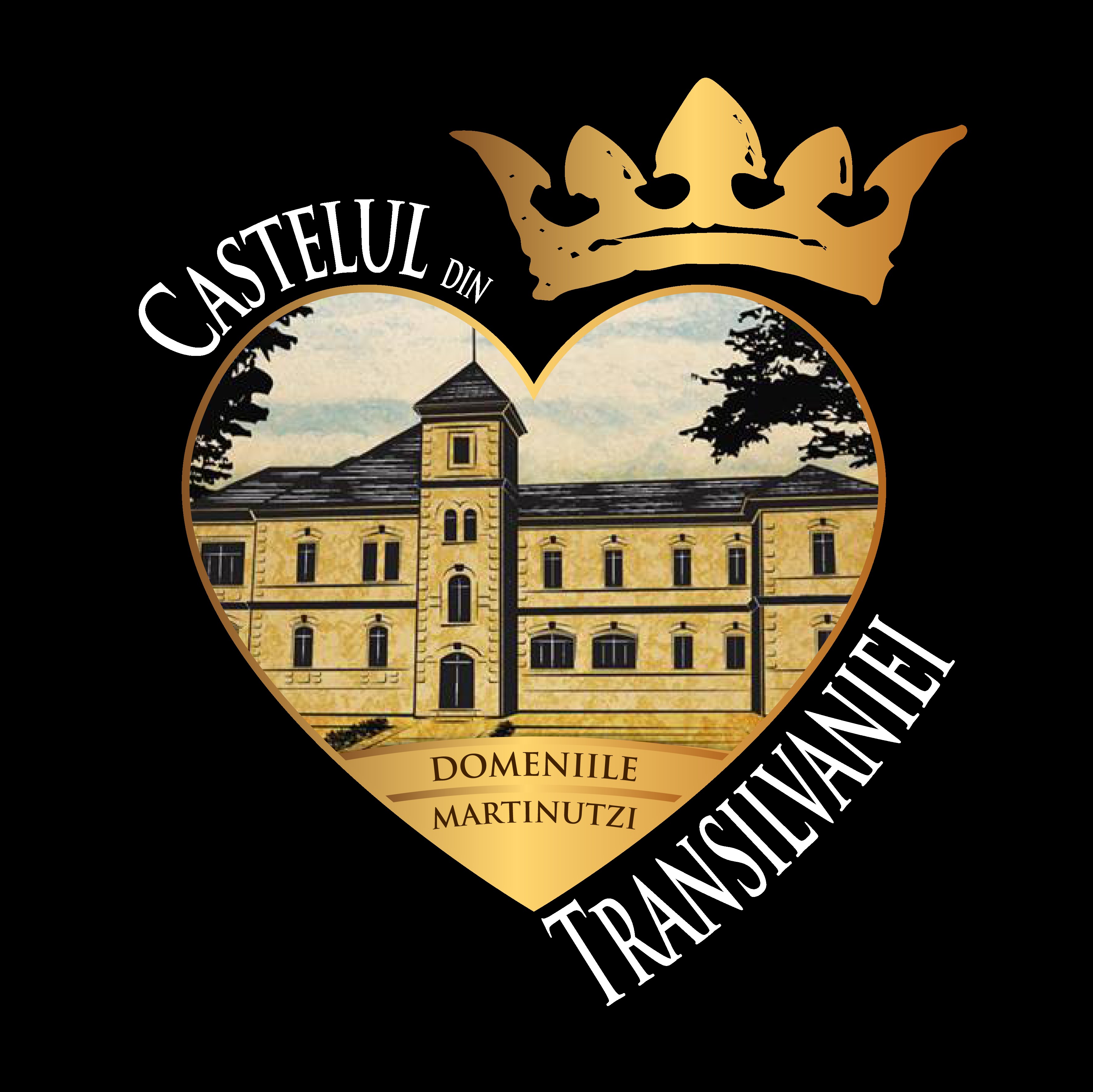 CASTELUL DIN TRANSILVANIEI DOMENIILE MARTINUTZI