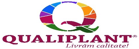 Q QUALIPLANT Livrăm calitate!