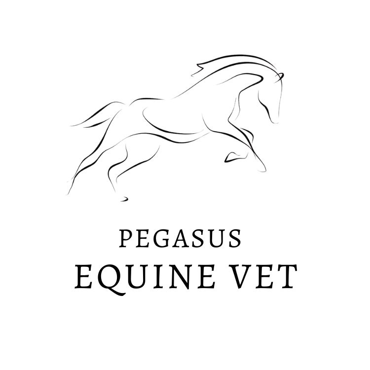 PEGASUS EQUINE VET