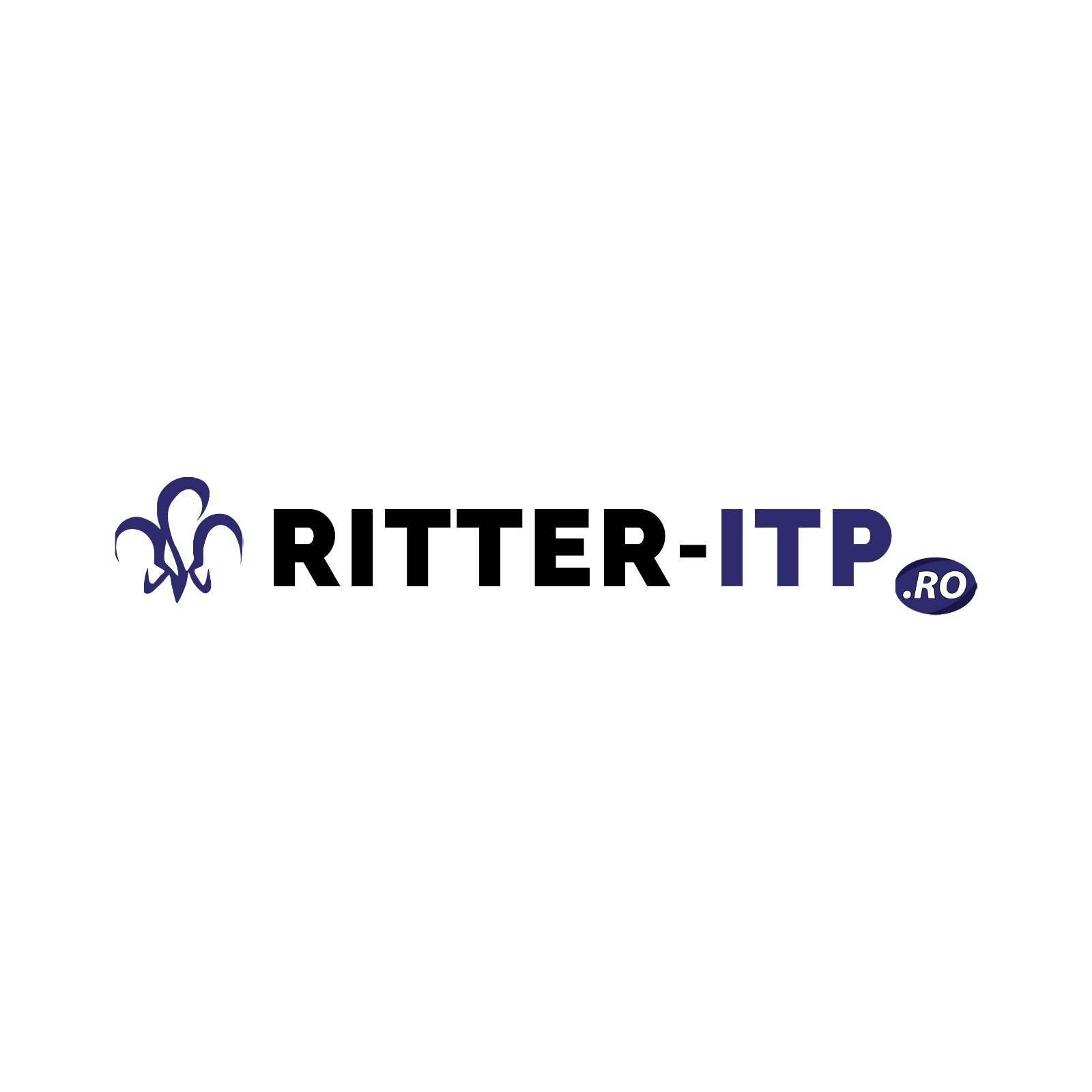 RITTER-ITP.RO