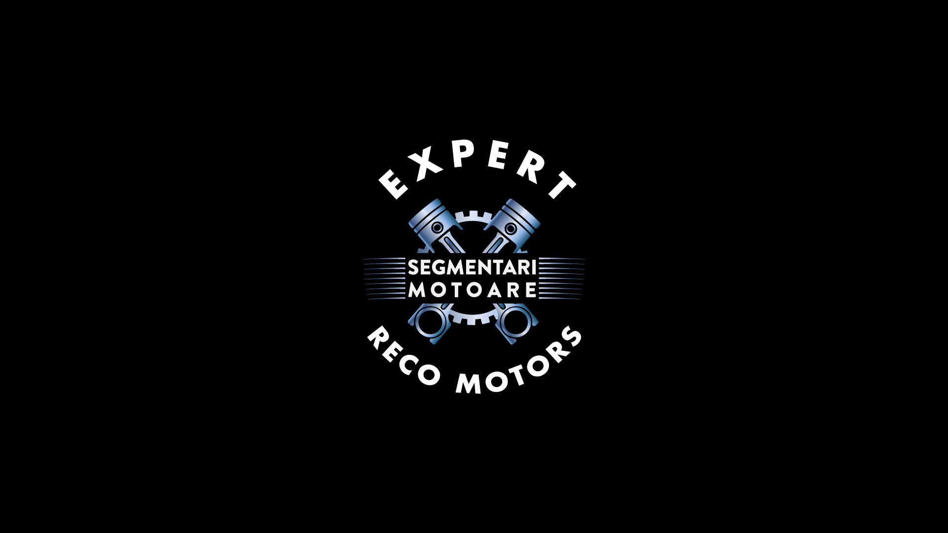 Expert Reco Motors Segmentari Motoare