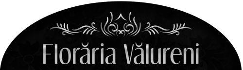 FLORĂRIA VĂLURENI