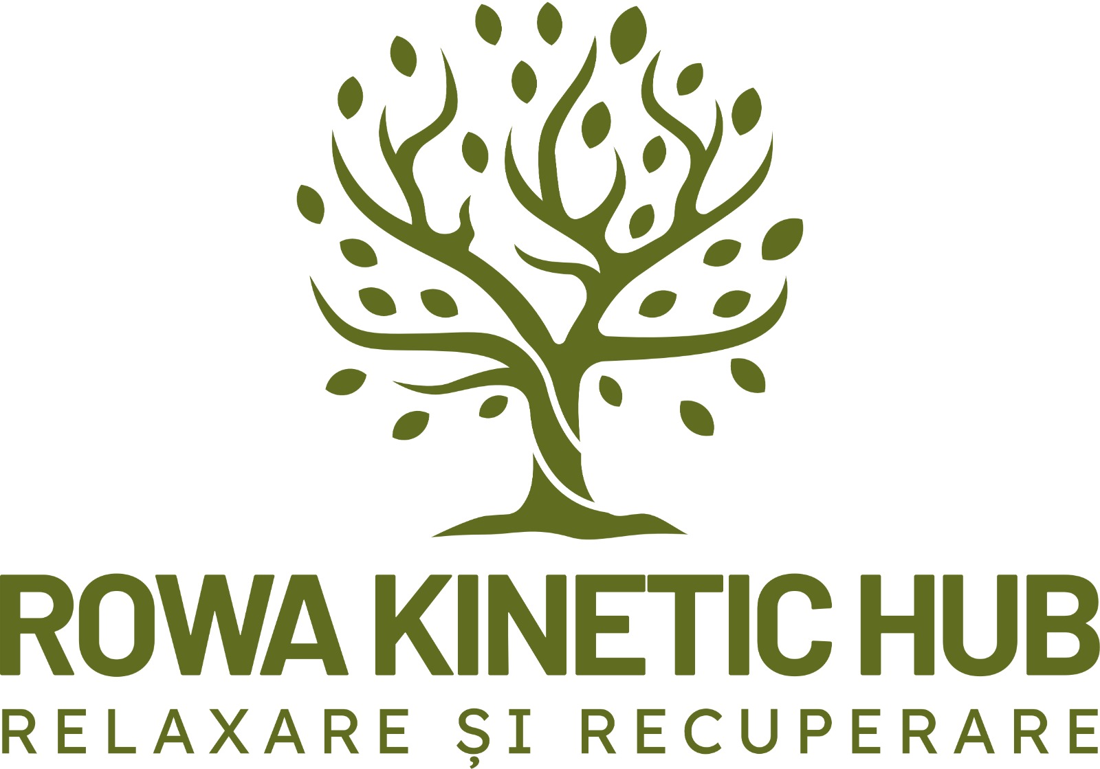 ROWA KINETIC HUB RELAXARE ȘI RECUPERARE
