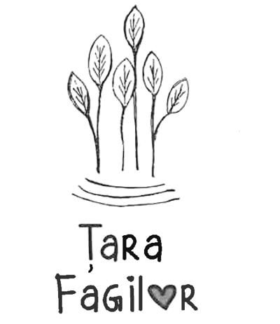 Țara Fagilor