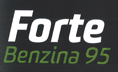 Forte Benzina 95