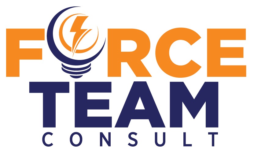 FORCE TEAM CONSULT
