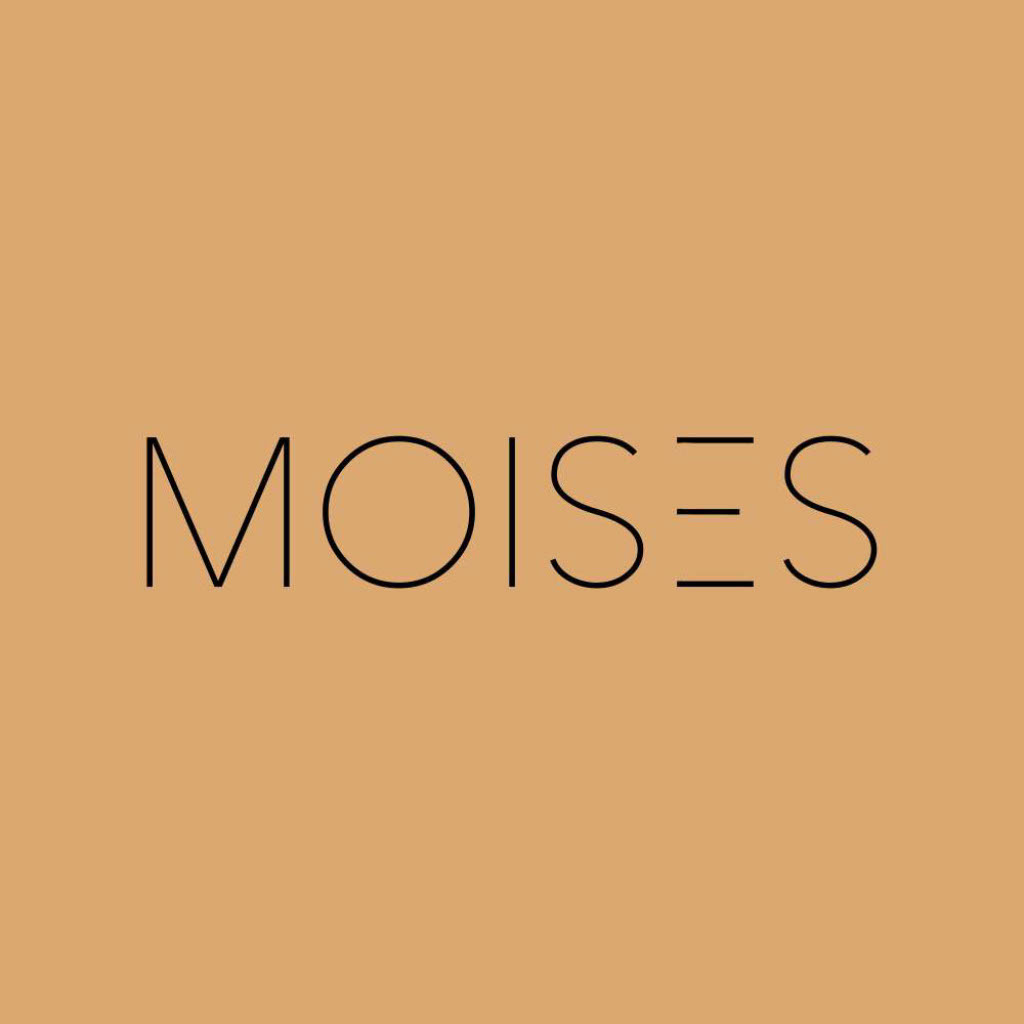 MOISES