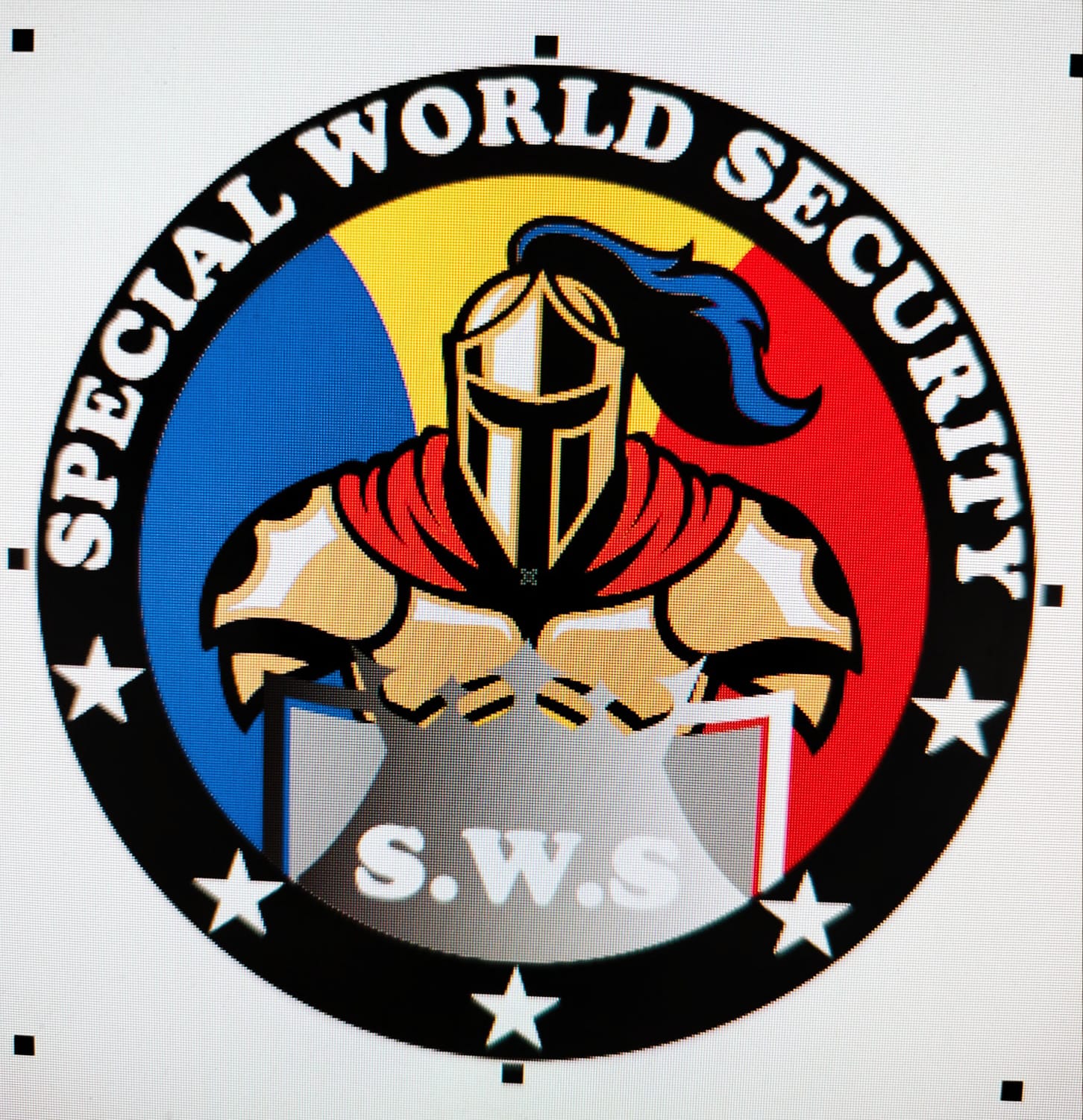 SPECIAL WORLD SECURITY S.W.S.