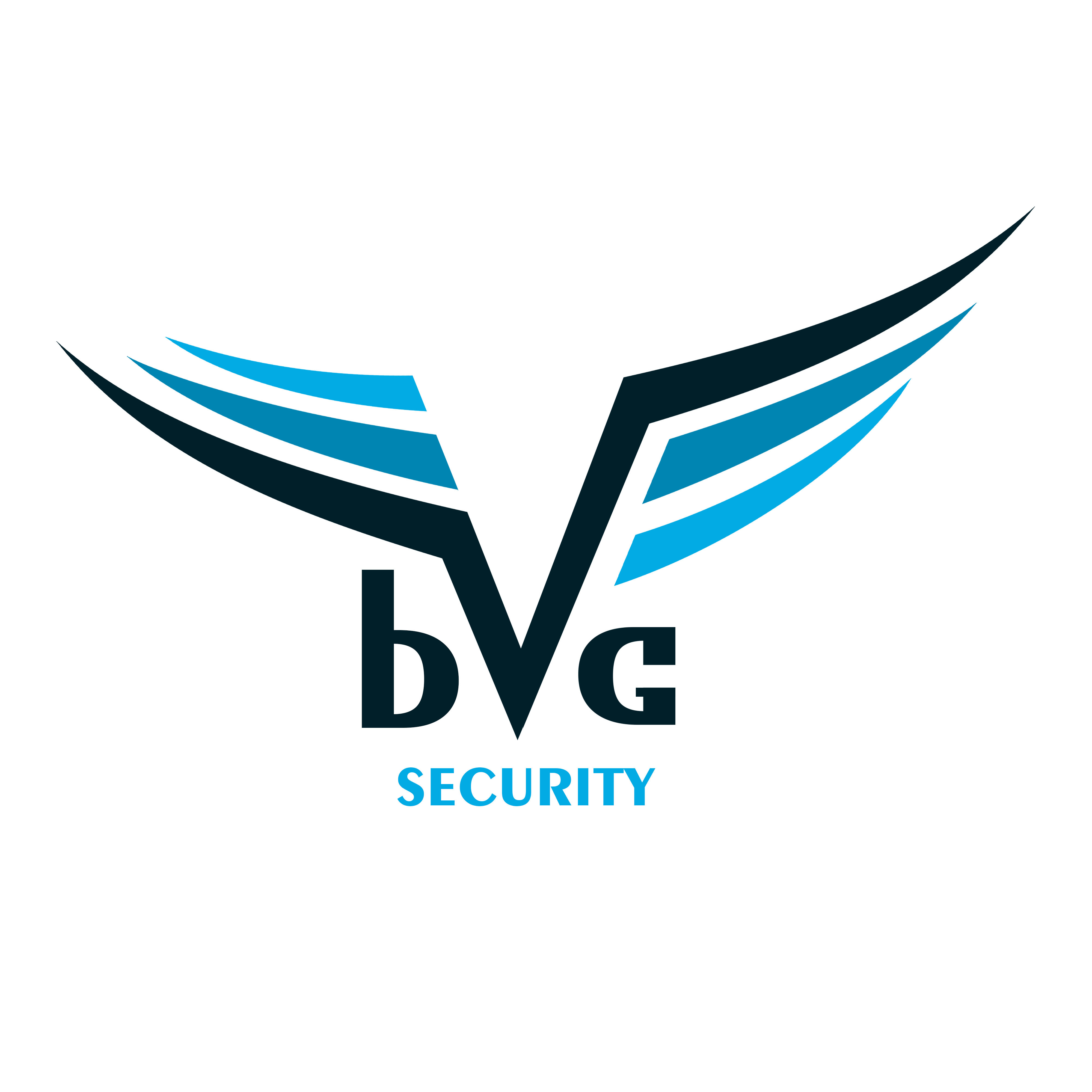 bVG SECURITY
