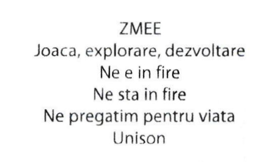 ZMEE Joaca, explorare, dezvoltare Ne e in fire Ne sta in fire Ne pregatim pentru viata Unison