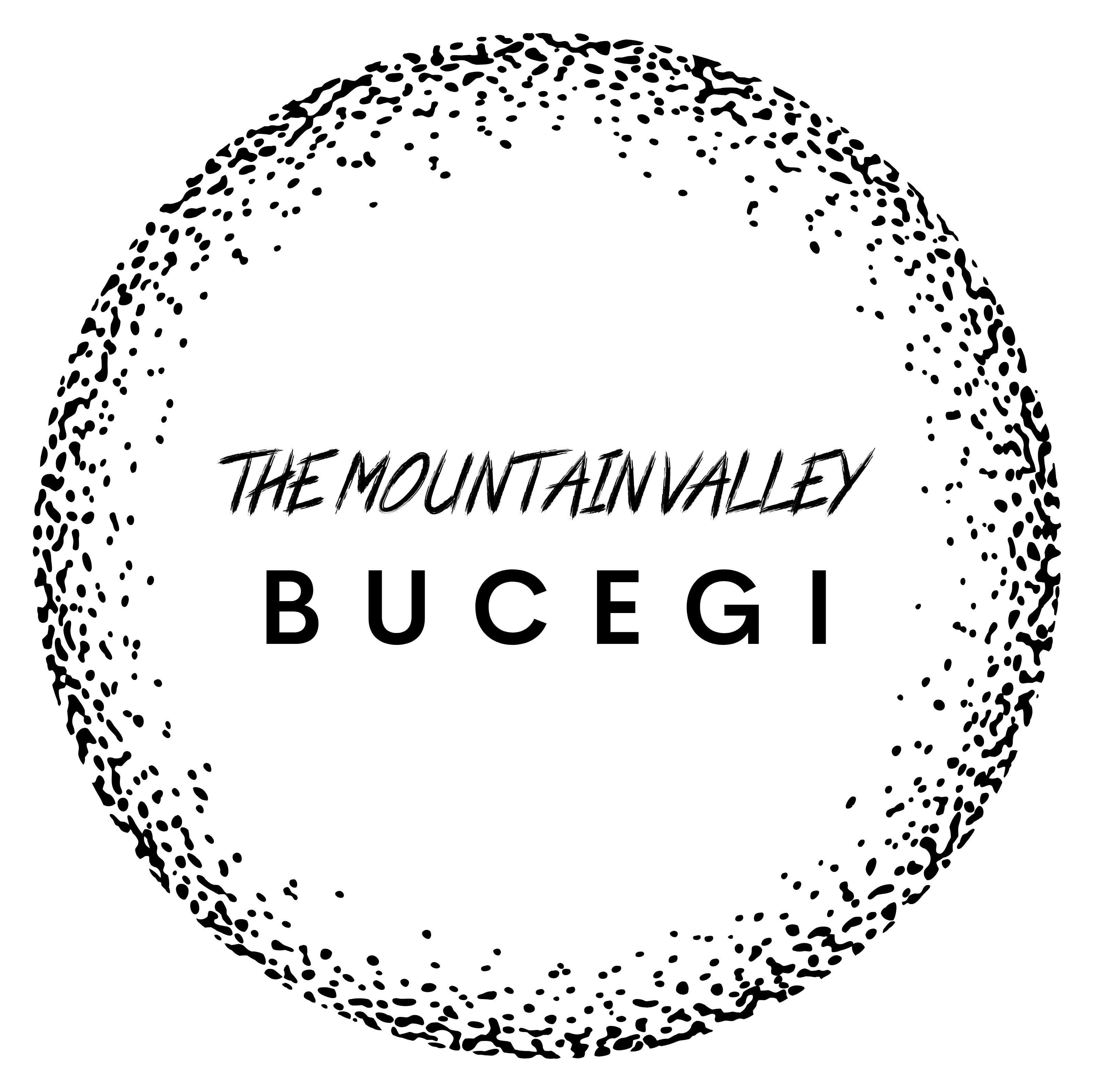 THE MOUNTAIN VALLEY BUCEGI