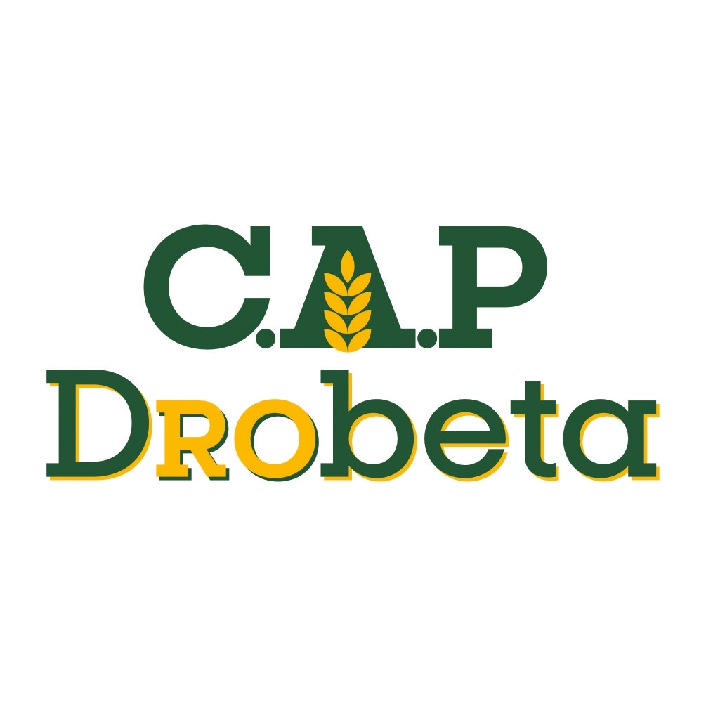C.A.P DROBETA