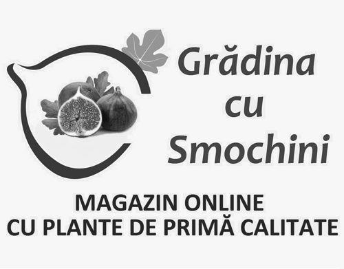 Grădina cu Smochini MAGAZIN ONLINE CU PLANTE DE PRIMĂ CALITATE