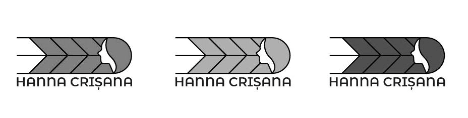 HANNA CRIȘANA