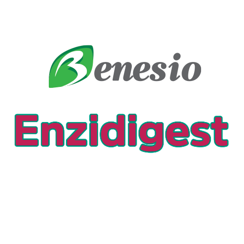 Benesio Enzidigest