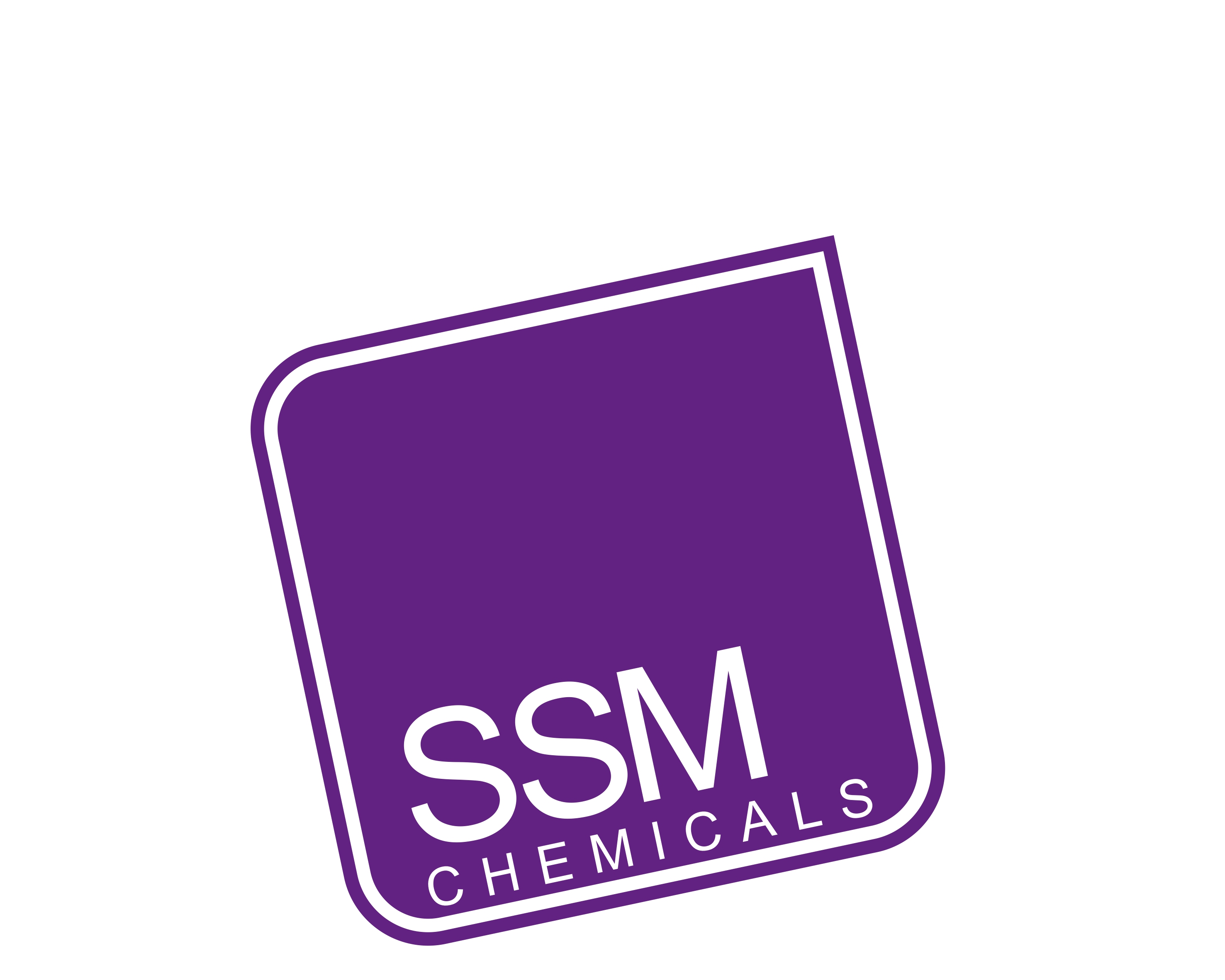 SSM CHEMICALS