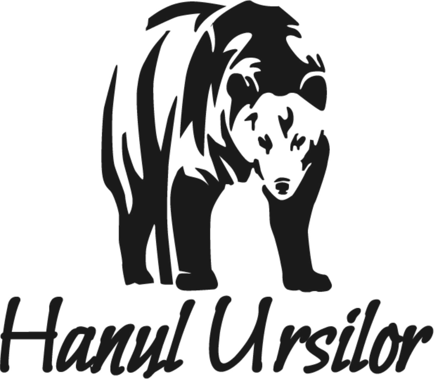 Hanul Ursilor