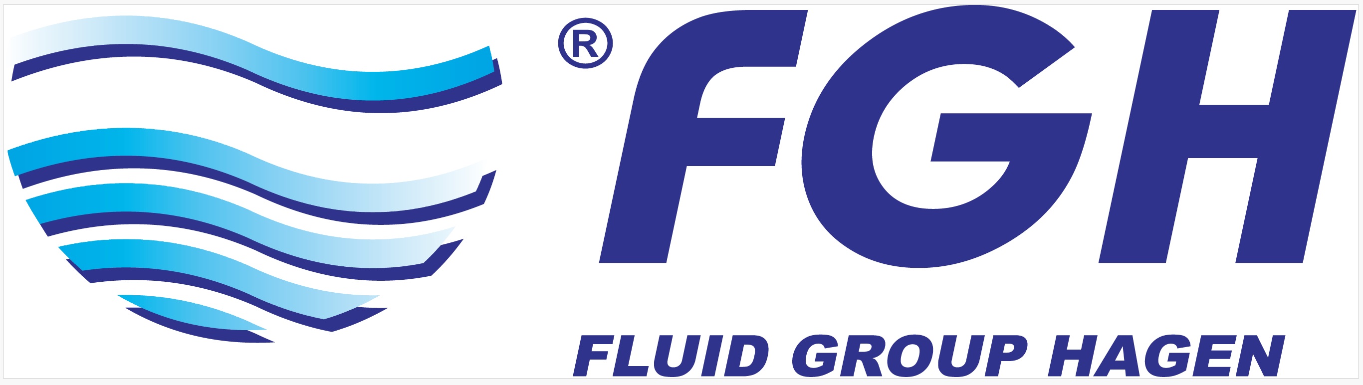FGH FLUID GROUP HAGEN