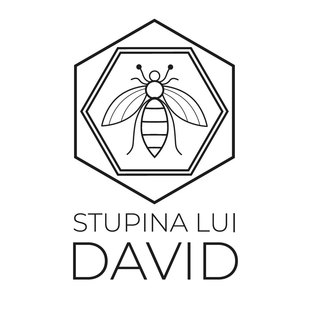 STUPINA LUI DAVID