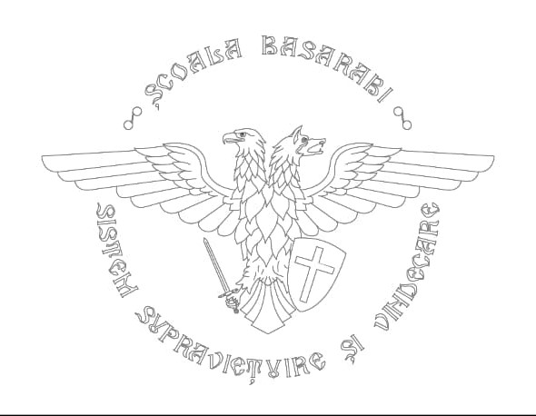 ȘCOALA BASARABI SISTEM SUPRAVIEŢUIRE ŞI VINDECARE