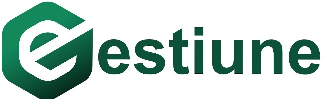 E-Gestiune