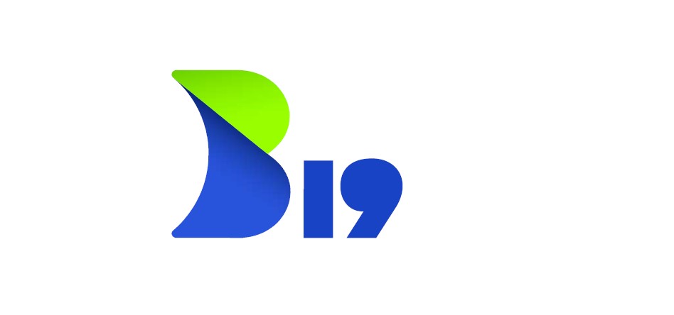 B19