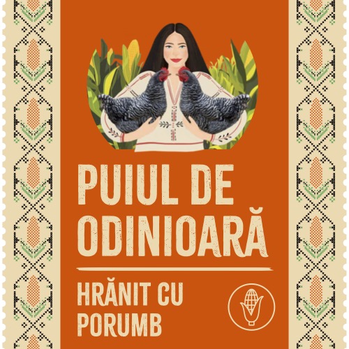 PUIUL DE ODINIOARĂ HRĂNIT CU PORUMB