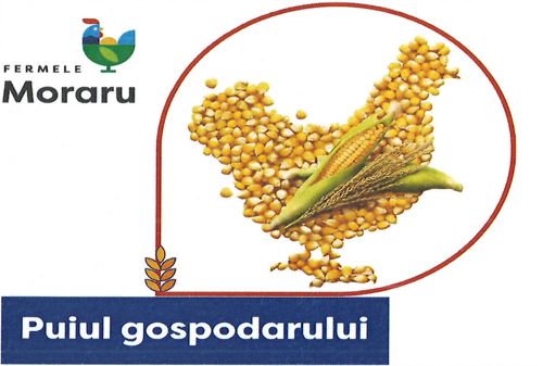 FERMELE Moraru Puiul gospodarului
