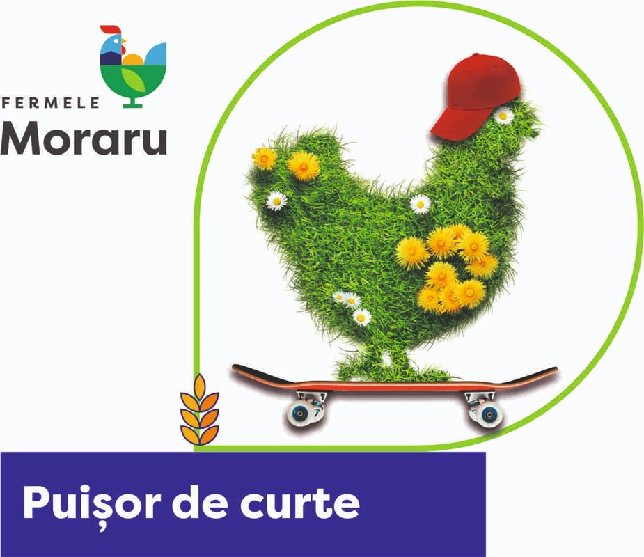Fermele Moraru Puișor de curte