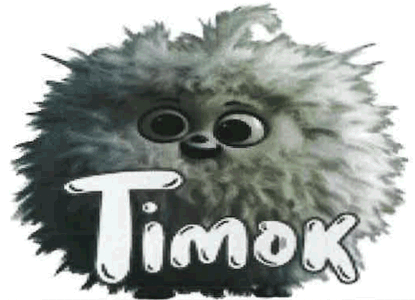 Timok