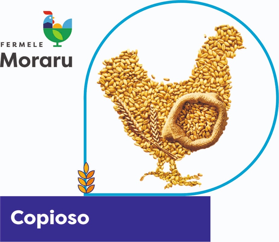 Fermele Moraru Copioso