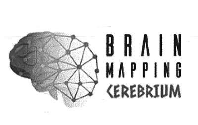 BRAIN MAPPING CEREBRIUM