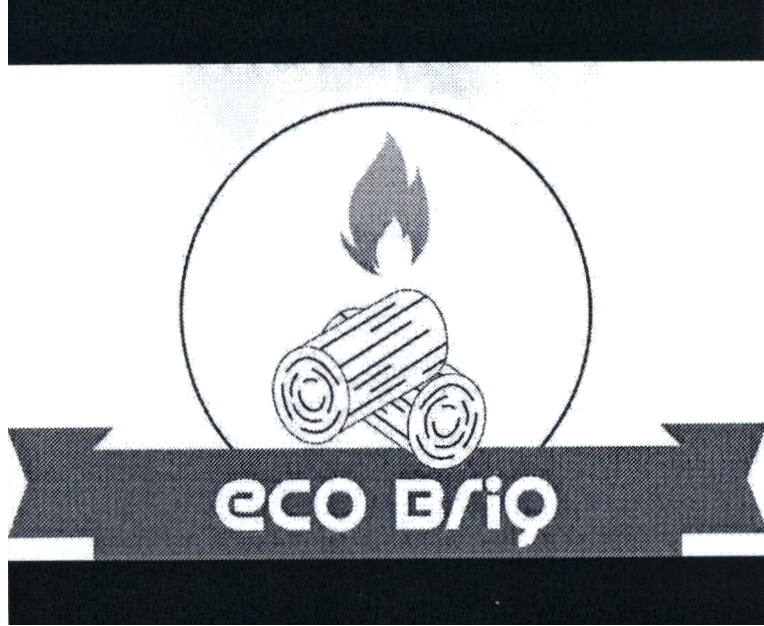 ECO BRIQ