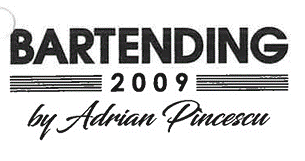 BARTENDING 2009 by Adrian Pincescu
