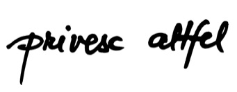 privesc altfel