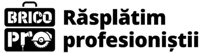BRICO PRO RĂSPLĂTIM PROFESIONIȘTII