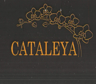 CATALEYA