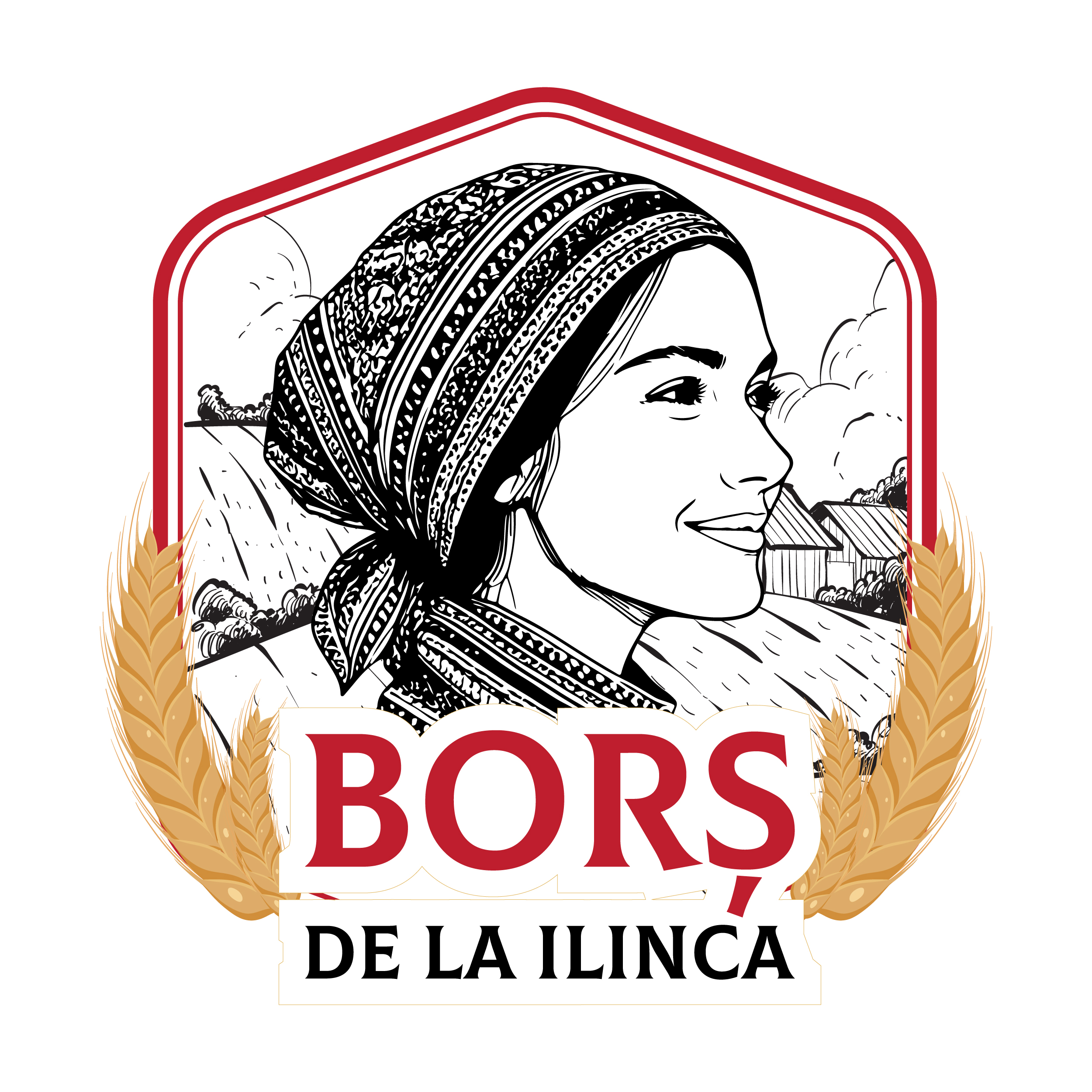 BORȘ DE LA ILINCA