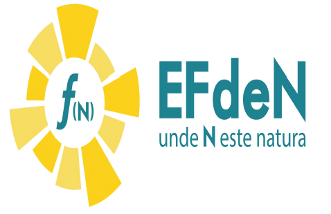 EFdeN - f(N), unde N este natura