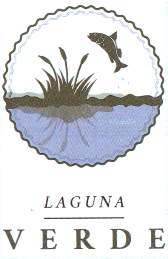 LAGUNA VERDE