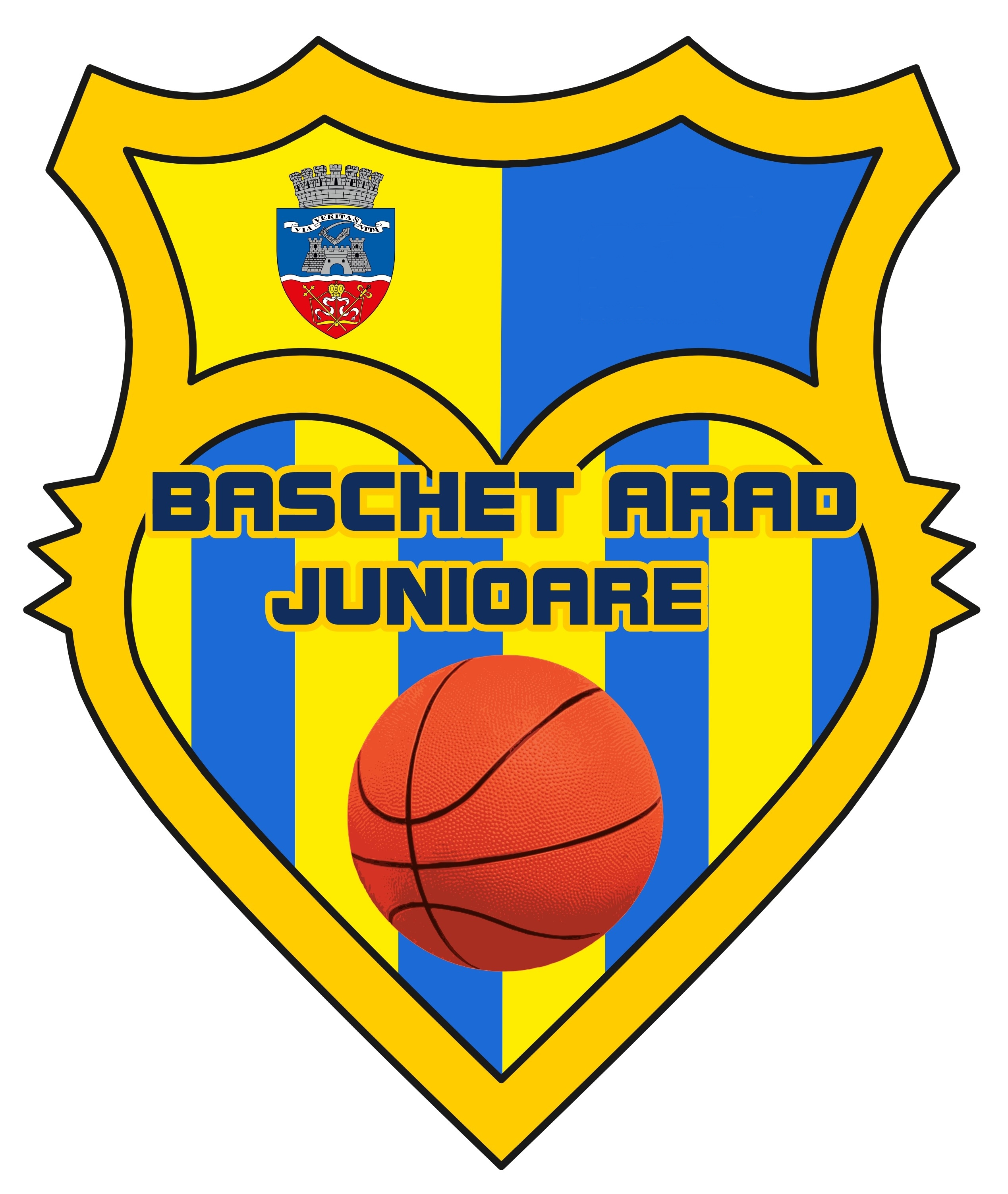 BASCHET ARAD JUNIOARE