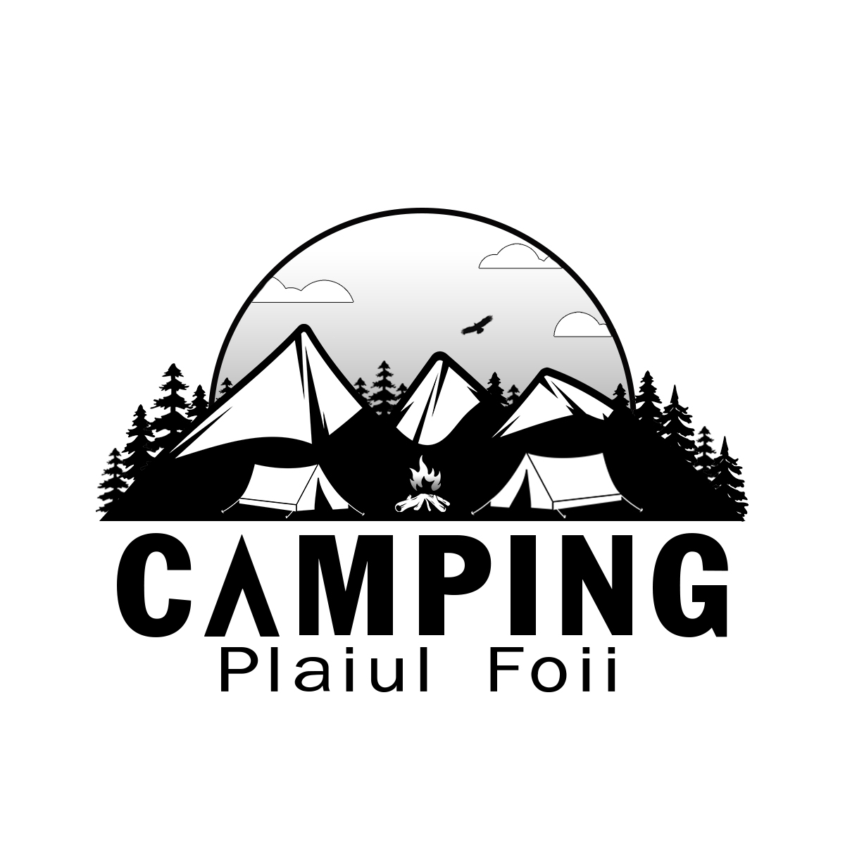 CAMPING Plaiul Foii