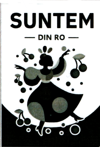 SUNTEM DIN RO