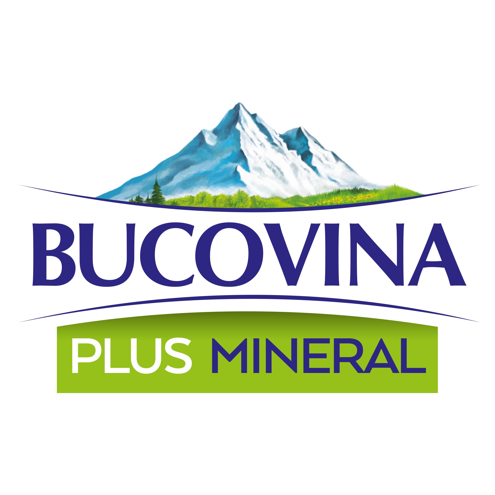 BUCOVINA PLUS MINERAL